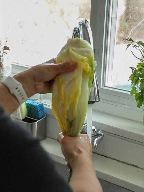 Person washing a cabbage under a kitchen faucet.